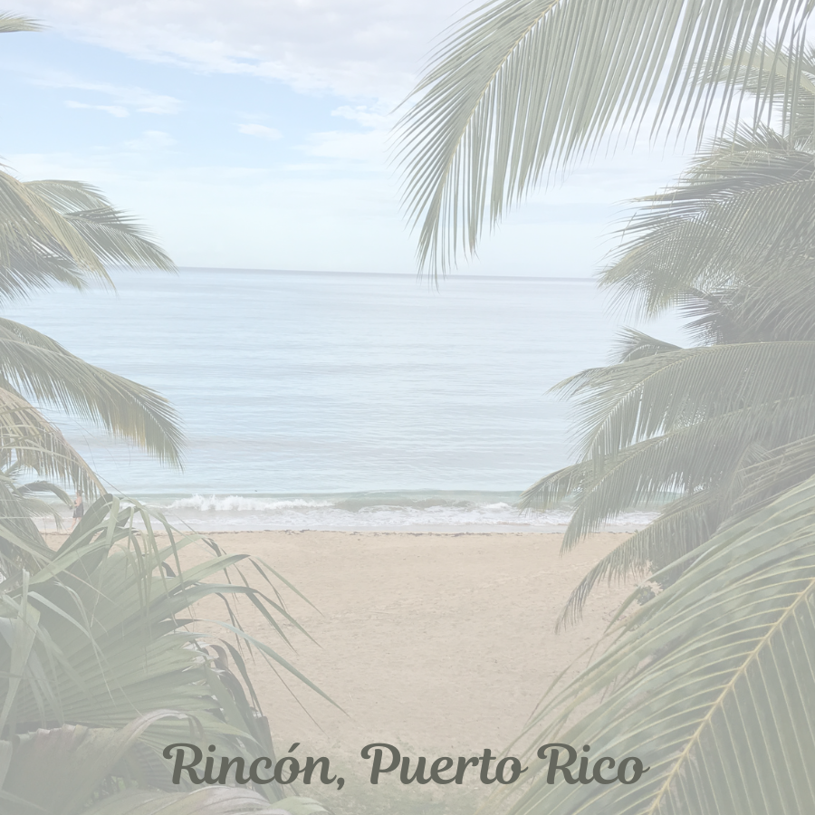 Rincón, Puerto Rico Mini Notepad